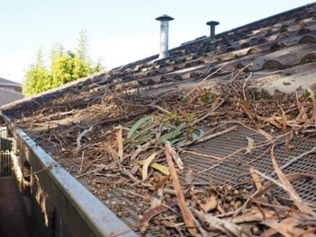 Read more about the article Gutters and Wildfire Protection