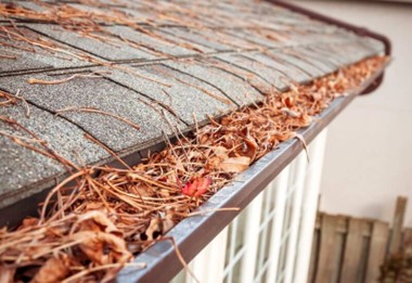 Read more about the article How to Maintain Gutters and Downspouts