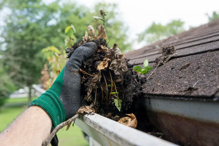 A gutter specialist pulls dirt and leaves out of the gutter of a Seattle, WA home