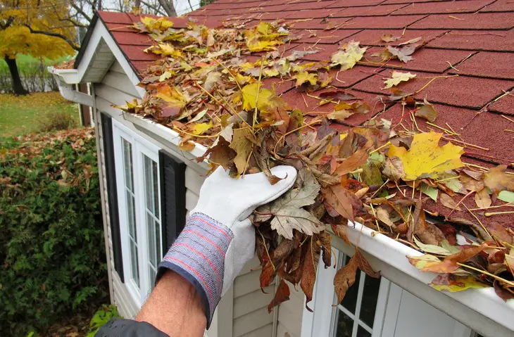 Gutters installed on a house surrounded by trees in Washington