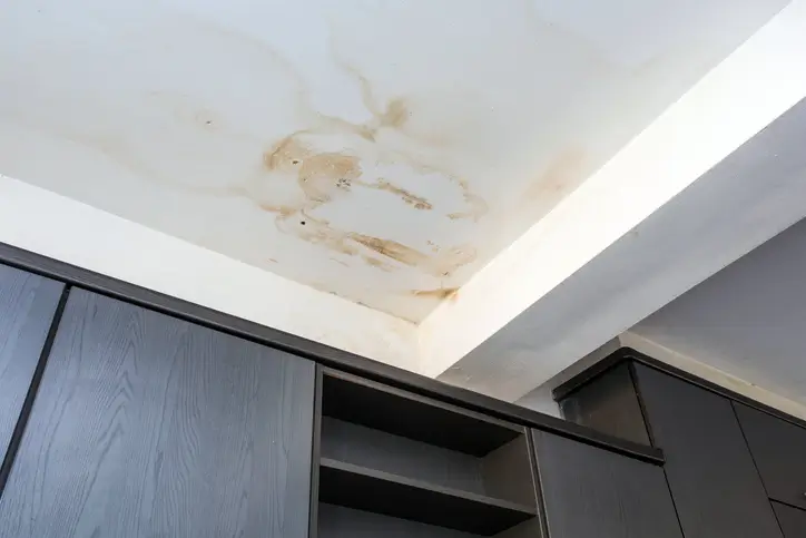 Roof leakage into Seattle home from rotting facia board.